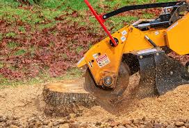 Best Tree Mulching  in Statesboro, GA